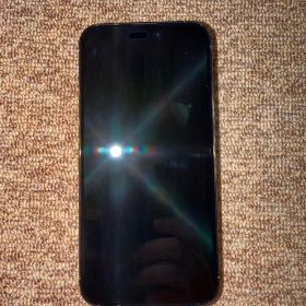 Apple iPhone 14 Pro Max 本体