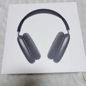 Apple AirPods Max Space Gray 本体