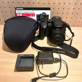 Panasonic LUMIX DMC-FZ300 ケース・元箱付き