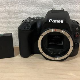 43枚‼︎ 美品 完動品 Canon EOS Kiss X9 ボディ #26281