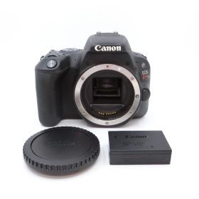 キヤノン Canon EOS Kiss X9 ボディ APS-C デジタル一眼レフカメラ Bランク シャッター回数約1.3万回 LP-E17バッテリー ボディキャップ付属 #8560