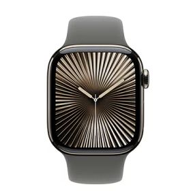 Apple Apple Watch Series10 42mm GPS+Cellularモデル MWXD3J/A A3001【ナチュラルチタニウムケース/ストーングレイスポーツバンド】 [中古] 【当社3ヶ月間保証】 イオシス