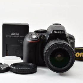 【中古】Nikon ニコン D5300 AF-P 18-55 VR キット