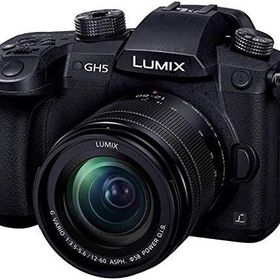 【中古】 パナソニック ミラーレス一眼カメラ ルミックス GH5 レンズキット 標準ズームレンズ付属 ブラック DC-GH5M-K 当店保証30日間 人気 ミラーレス 一眼レフ 交換レンズ カメラ