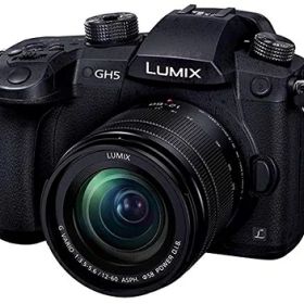 【中古】 パナソニック(Panasonic) ミラーレス一眼カメラ ルミックス GH5 レンズキット 標準ズームレンズ付属 ブラック DC-GH5M-K