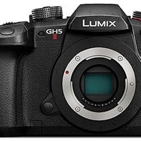 【中古】(非常に良い)パナソニック(Panasonic) ミラーレス一眼カメラ ルミックス GH5M2 ボディ ブラック DC-GH5M2