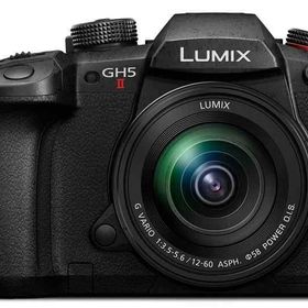 【中古】パナソニック(Panasonic) ミラーレス一眼カメラ ルミックス GH5M2 レンズキット 標準ズームレンズ付属 ブラック DC-GH5M2M