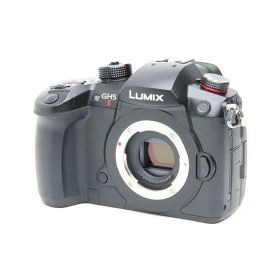 【中古品】《美品》Panasonic LUMIX GH5II ボディ DC-GH5M2[デジタルカメラ]