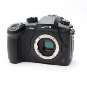 【中古品】《新同品》Panasonic LUMIX DC-GH5 ボディ【ストラップ取付部分解調整/各部点検済】[デジタルカメラ]