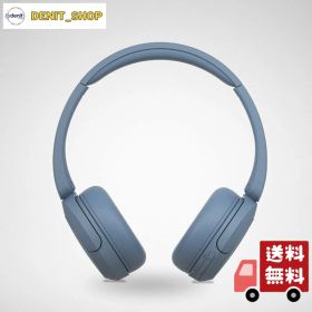 ソニー(SONY) ワイヤレスヘッドホン WH-CH520:Bluetooth対応/軽量設計 約147g/専用アプリ対応により好みの音質にカスタマイズできる イコライザー 設定対応/ブルー WH-CH520 L 小