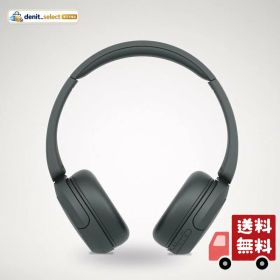 ソニー(SONY) ワイヤレスヘッドホン WH-CH520:Bluetooth対応/軽量設計 約147g/専用アプリ対応により好みの音質にカスタマイズできる「イコライザー」設定対応/ブラック WH-CH520 B 小