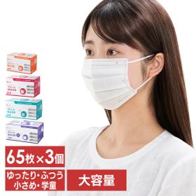 ＼50%ポイントバック☆彡〜10/13迄／【公式】【3個セット】マスク アイリスオーヤマ 不織布 大容量 プリーツ 65枚入 PN−NV65 学童 小さめ ふつう 大きめ プリーツ 使い捨て 飛沫 ウイルス 感染 花粉 ほこり【iris_dl03】