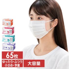 ＼50%ポイントバック☆彡〜10/13迄／アイリスオーヤマ マスク プリーツマスク 65枚入 PN-NV65G PN-NV65S PN-NV65L PN-NV65LL 学童 小さめ ふつう ゆったり大きめ プリーツ 不織布 使い捨て 飛沫 ウイルス 感染 花粉 ほこり 3層構造 アイリスオーヤマ