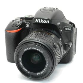 Nikon/ニコンD5500 AF-S DX 18-55mm F3.5-5.6 G II VR【中古】【smtb-TD】