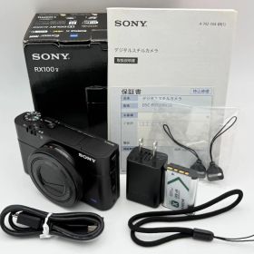 【美品】SONY CyberShot RX100V(DSC-RX100M5A) オマケ付 ソニー サイバーショット