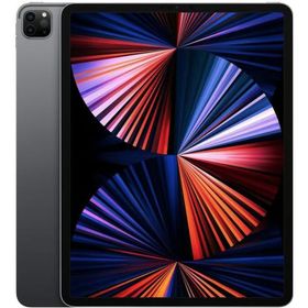 美品 国内版 SIMフリー iPad Pro 12.9インチ 第5世代 1TB Wi-Fi +Cellular版 スペースグレイ色