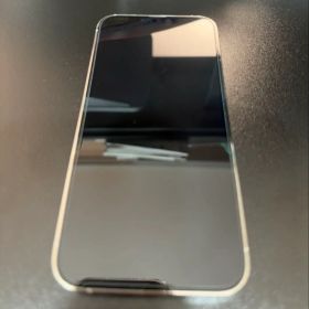 Apple iPhone 13 ProMax