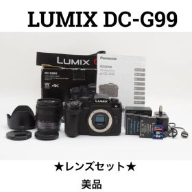【美品】ルミックス LUMIX DC-G99 ミラーレス一眼カメラ レンズセット