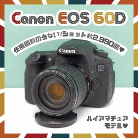 ☘️ショット数2,990回✨️キャノン EOS 60D 一眼レフ 高画質 おまけ