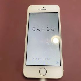 Apple iPhone 5s 本体