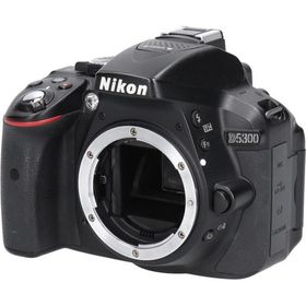 Ｄ５３００