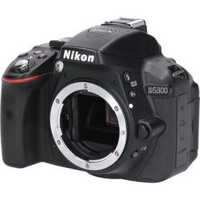 Ｄ５３００