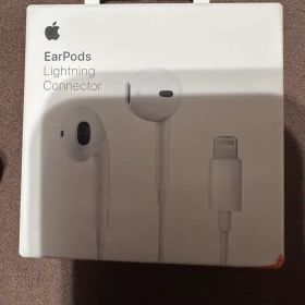 Apple EarPods with Lightning Connector