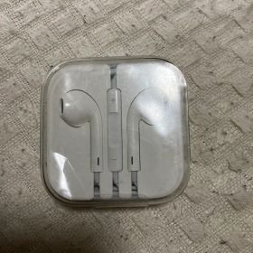 Apple EarPods 有線イヤホン ケース付き