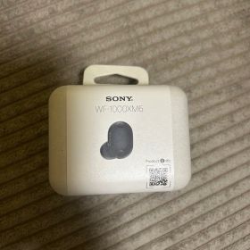 SONY WF-1000XM6 本体 ブラック