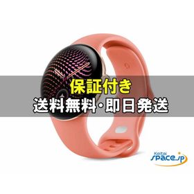 [新品未開封] Google Pixel Watch 5 Wi-Fi 41mm canyon [国内正規品]