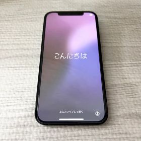 iPhone 12 Pro 256GB パシフィックブルー 本体のみ