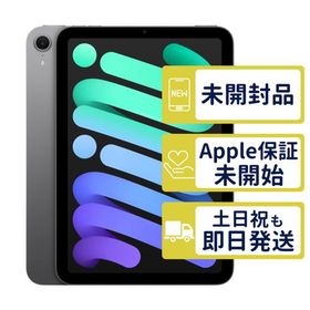 iPad mini7 Wi-Fi 256GB 【A2993】 スペースグレイ MXNA3J/A Apple 未開封 本体 DQ7K
