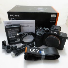 【期間限定セール】ソニー SONY ミラーレス一眼 α7S III