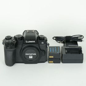 [良品 | シャッター数14,170回] Panasonic LUMIX DC-G99 | マイクロフォーサーズマウント