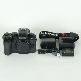 [美品 | シャッター数11,650回] Panasonic LUMIX DC-G99 | マイクロフォーサーズマウント