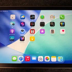 （最大容量100%）Apple iPad mini (A17pro) 128GB