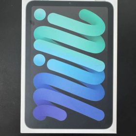iPad mini 第7世代 128GB Wi-Fi スペースグレイ 美品