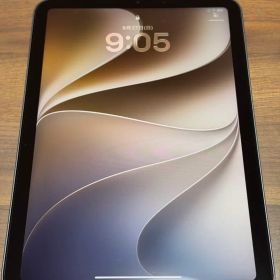 iPad mini 6 WiFi 256GB スペースグレー