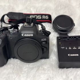 Canon EOS R6（おまけあり）