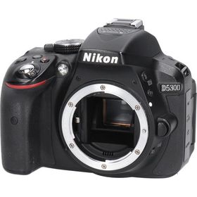 Ｄ５３００