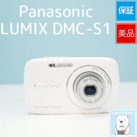 Panasonic LUMIX DMC-S1 デジカメ スマホ転送OK フルセット 美品 シロクマカメラ a7384