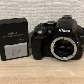 完動品 Nikon D5300 ボディ #26286