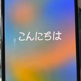 Apple iPhone X 本体 256G