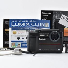 ★美品★パナソニック Panasonic LUMIX DC-FT7★ T13＃5981