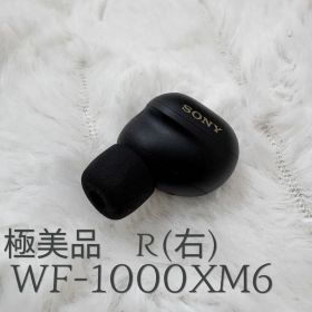 SONY WF-1000XM6 本体 右側 R