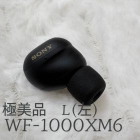 SONY WF-1000XM6 本体 左側 Lサイズ