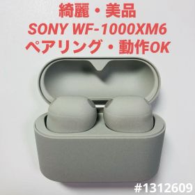 SONY WF-1000XM6 ワイヤレスイヤホン プラチナシルバー