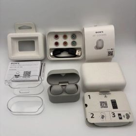 SONY WF-1000XM6 ワイヤレスイヤホン シルバー 美品