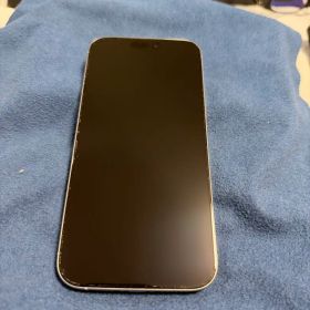 Apple iPhone 16 Pro Max 1TB 本体