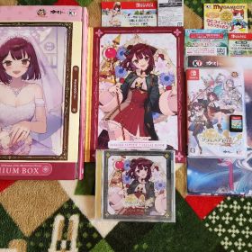 【動作良好】ソフィーのアトリエ2 WonderGOO ワンダーグー Switch